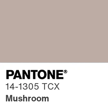 A cover of "Pantone, Mushroom" cluster. The owner is sarahlindsay. The cluster description is "PANTONE 14-1305 Mushroom / #BDACA3 - References for Inspiration". The cluster consists of 55 elements.