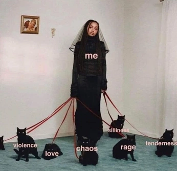 A cover of "Memes" cluster. The owner is patinalingerie. The cluster consists of 1 element.