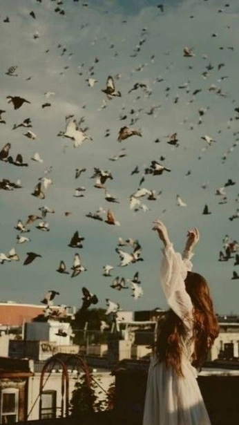 A cover of "Momentum" cluster. The owner is ttrejo. The cluster consists of 3 elements.