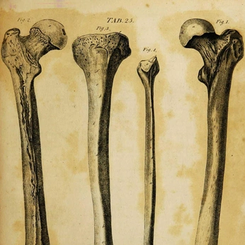 A cover of "vintage references" cluster. The owner is ashf1nz. The cluster consists of 5 elements.