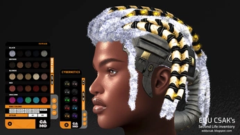 A cover of "My Second Life Inventory" cluster. The owner is edu.csak. The cluster consists of 95 elements.