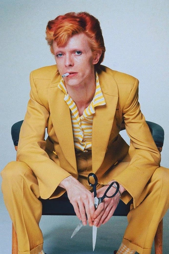 A cover of "Bowie" cluster. The owner is nenartt. The cluster consists of 26 elements.