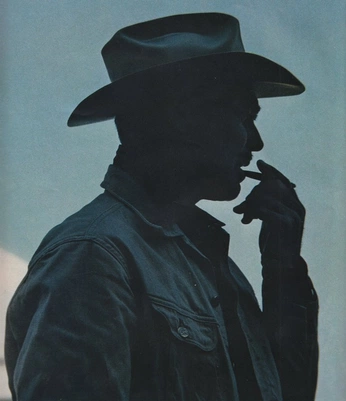 A cover of "The West" cluster. The owner is hobstu. The cluster consists of 43 elements.