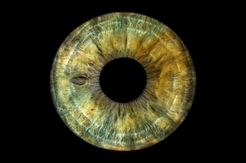 A cover of "Зеленая Радужка" cluster. The owner is irismoscow. The cluster consists of 3 elements.