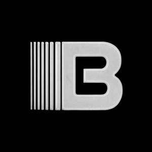 ballhog archive avatar