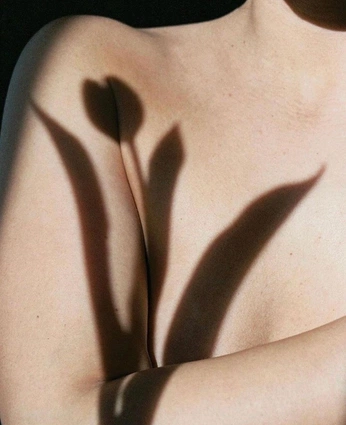 A cover of "Skin" cluster. The owner is aurelielagoutte. The cluster consists of 2 elements.