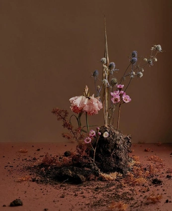 A cover of "Lupine разруха" cluster. The owner is kolyaprya. The cluster consists of 10 elements.