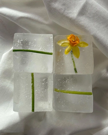 A cover of "Random" cluster. The owner is lizoly. The cluster consists of 1 element.