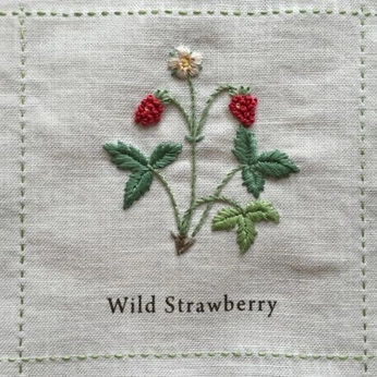 A cover of "Beta Ascii" cluster. The owner is staticstandby. The cluster consists of 14 elements.