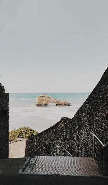 A cover of "vitaminity" cluster. The owner is serenearth. The cluster consists of 17 elements.