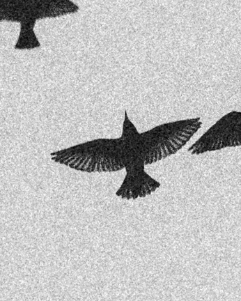 A cover of "Change" cluster. The owner is amberanywhere. The cluster consists of 16 elements.