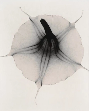 A cover of "Of interest" cluster. The owner is jvckiesvntos. The cluster consists of 10 elements.