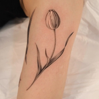 A cover of "inked" cluster. The owner is calamansi. The cluster consists of 19 elements.