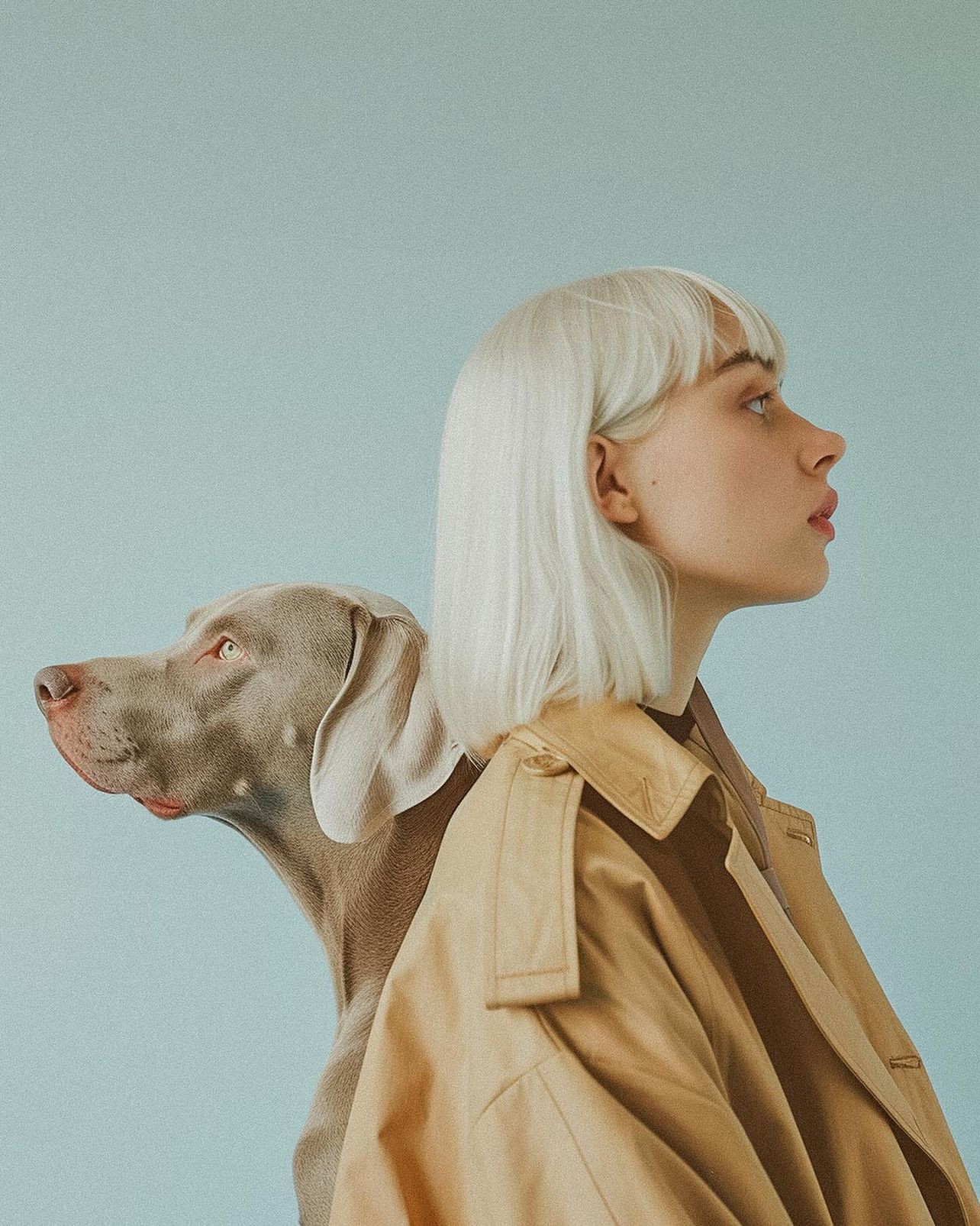 Book professionnel, pose éditoriale