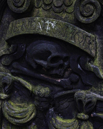 A cover of "bun insp" cluster. The owner is penumbraes. The cluster consists of 9 elements.