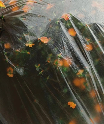 A cover of "Suffocation" cluster. The owner is annamueller. The cluster consists of 14 elements.