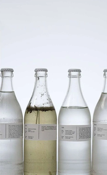 A cover of "Kombucha Identity" cluster. The owner is lilyjones. The cluster consists of 34 elements.