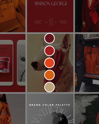 A cover of "Color Palette Displays" cluster. The owner is nicflori. The cluster consists of 16 elements.