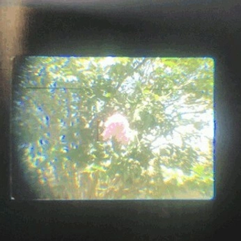 A cover of "photography" cluster. The owner is evie.zo. The cluster consists of 53 elements.