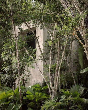 A cover of "jungle" cluster. The owner is 6marta. The cluster consists of 110 elements.