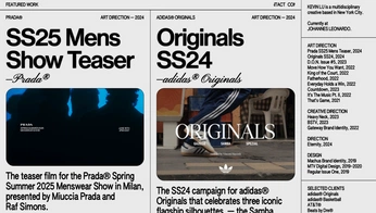 A cover of "Portfolios" cluster. The owner is maxdotson. The cluster consists of 2 elements.