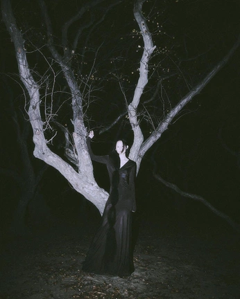 A cover of "style" cluster. The owner is spookysushi. The cluster description is "spooky gothic looks 🕷". The cluster consists of 196 elements.