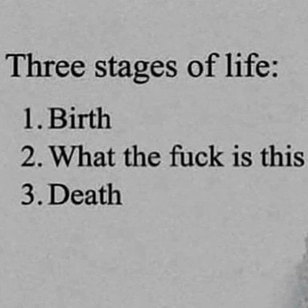 A cover of "❤" cluster. The owner is fein.2000. The cluster description is "live to ur fullest!". The cluster consists of 209 elements.