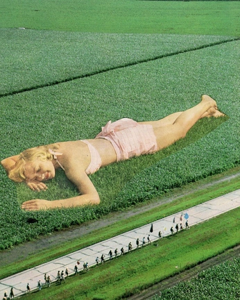 A cover of "fanzine noia" cluster. The owner is miramedesign98. The cluster consists of 5 elements.