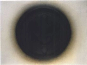 A cover of "sonho" cluster. The owner is fenopeias. The cluster consists of 26 elements.