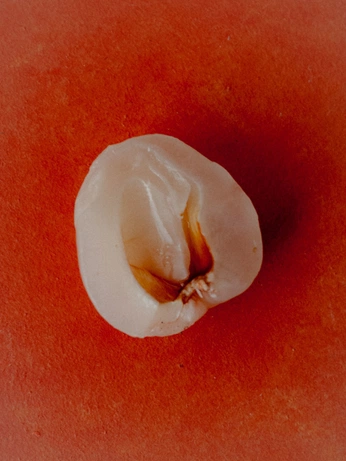 A cover of "long haul" cluster. The owner is starlighty. The cluster consists of 8 elements.