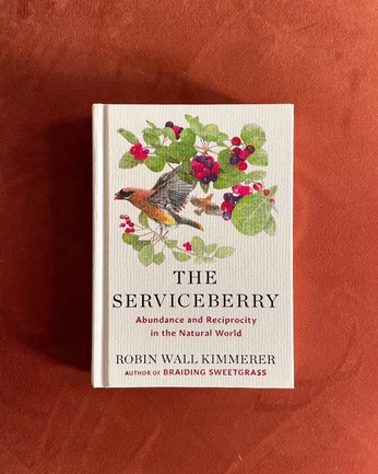 A cover of "Hanah" cluster. The owner is sophy. The cluster consists of 2 elements.