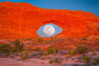 A cover of "Moon" cluster. The owner is more.venus. The cluster consists of 12 elements.