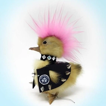 A cover of "aliYUUUUH" cluster. The owner is megustaboobies. The cluster consists of 9 elements.