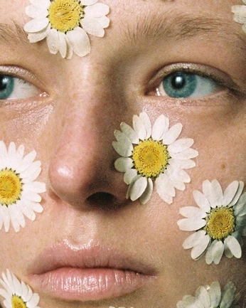 A cover of "u701" cluster. The owner is stillrein. The cluster consists of 56 elements.