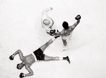 A cover of "Passion" cluster. The owner is luanitaa. The cluster consists of 2 elements.