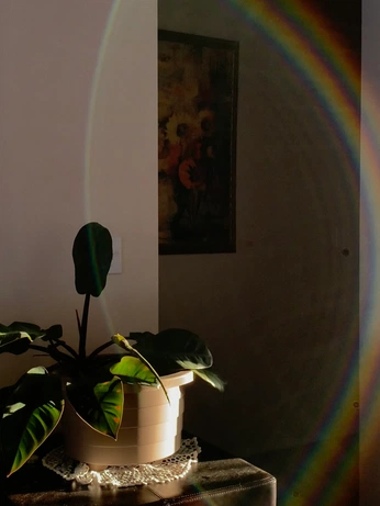 A cover of "Sun" cluster. The owner is piiaa. The cluster consists of 1 element.