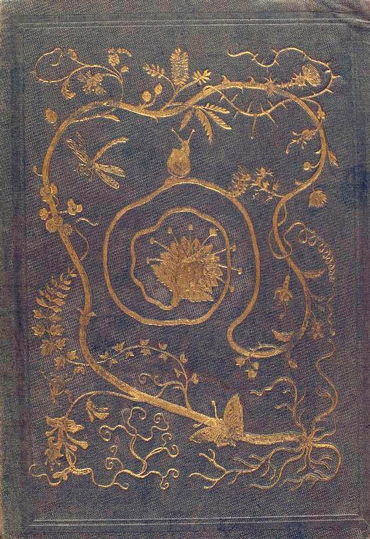 majestic ass book covers