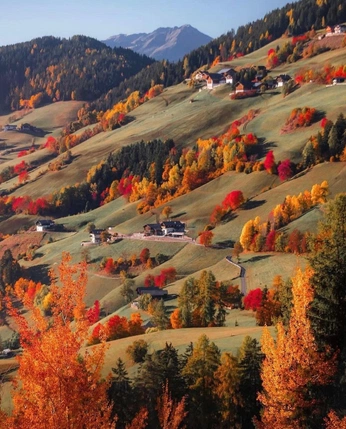 A cover of "Autumn" cluster. The owner is laurange. The cluster consists of 2 elements.