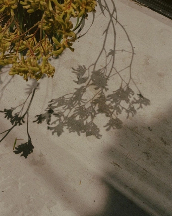 A cover of "life" cluster. The owner is mateusjcarneiro. The cluster consists of 285 elements.