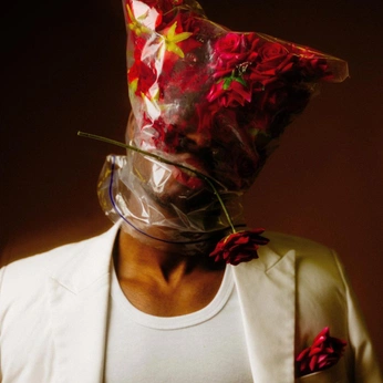 A cover of "the clown" cluster. The owner is nunyabeezwax. The cluster consists of 31 elements.