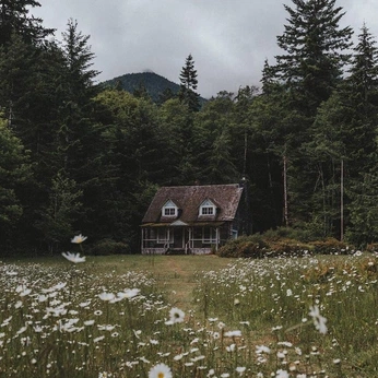 A cover of "Ghar" cluster. The owner is ofpaintedskies. The cluster consists of 141 elements.