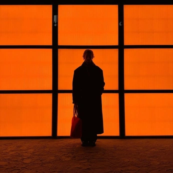 A cover of ""viz comm"" cluster. The owner is orionjondhale. The cluster consists of 329 elements.