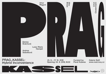 A cover of "type proj 1-2025" cluster. The owner is lrfrazier. The cluster consists of 24 elements.