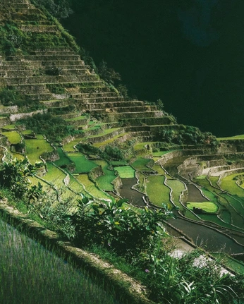 A cover of "pilipinas 🤍" cluster. The owner is aplaya. The cluster consists of 12 elements.