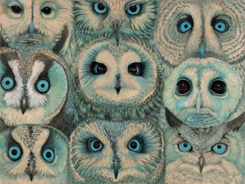 A cover of "Wisdom" cluster. The owner is graceboda. The cluster consists of 4 elements.