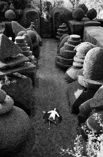 A cover of "alo in wonderland" cluster. The owner is alondra7. The cluster consists of 27 elements.