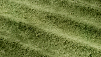 A cover of "Places I Love" cluster. The owner is colizeya. The cluster consists of 1 element.