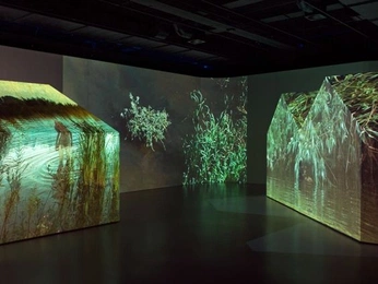 A cover of "Screen" cluster. The owner is fojcik. The cluster consists of 26 elements.