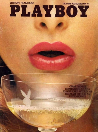 A cover of "PLAYBOY" cluster. The owner is gabmontalvo. The cluster consists of 14 elements.