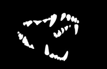 A cover of "Dog logo" cluster. The owner is adhaam. The cluster consists of 10 elements.